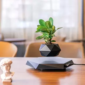 Intelligent Magnetic Levitation Creative Agent Potted Plants