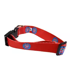 Printed Dog Collar - BHI Oval